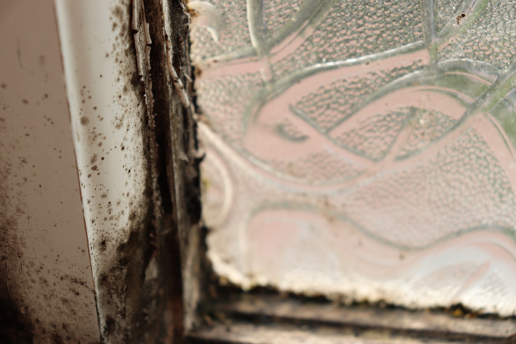 Landlords Must Take Mould Complaints Seriously Following Child Death