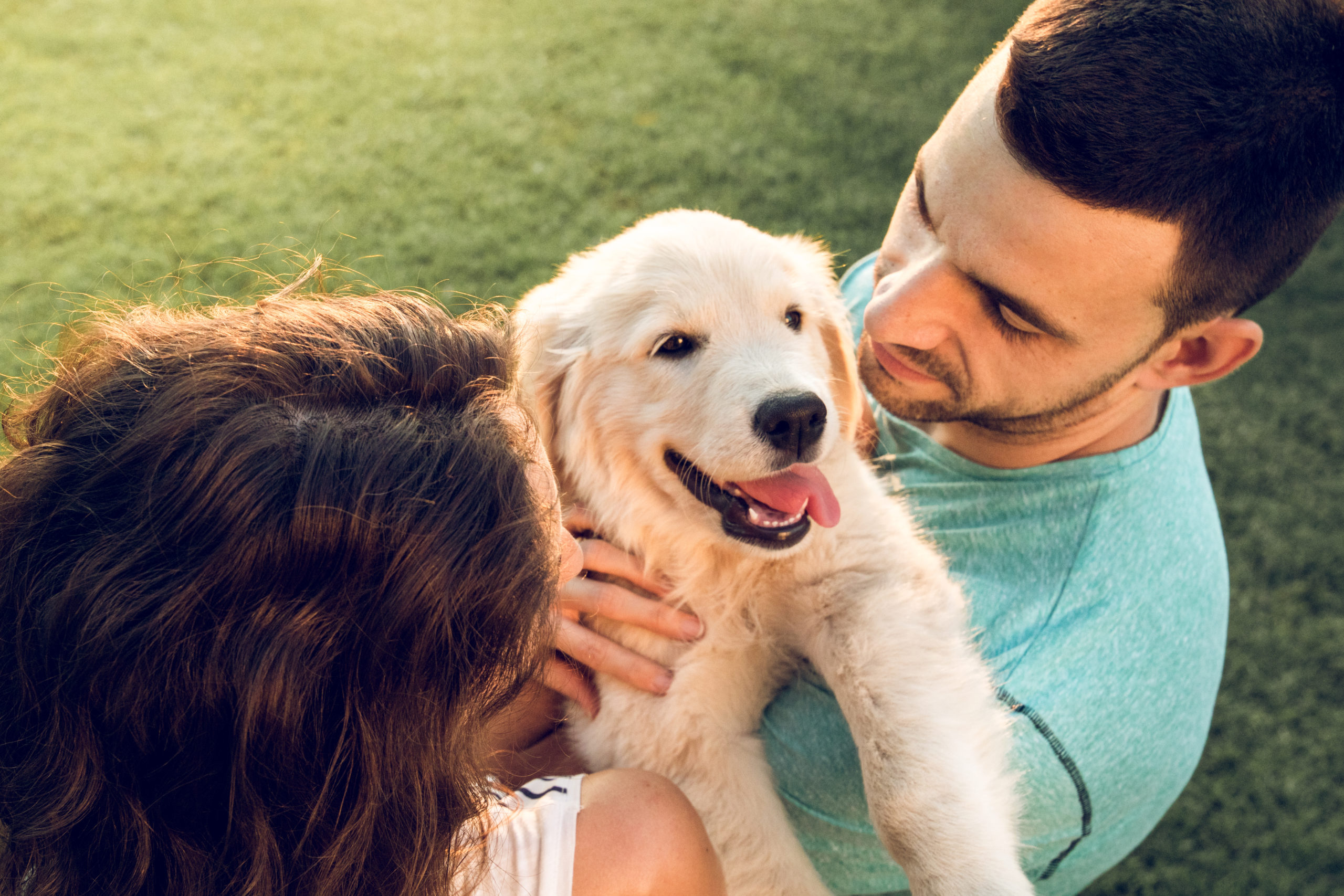 Pets & Relationships: Who Gets The Dog?