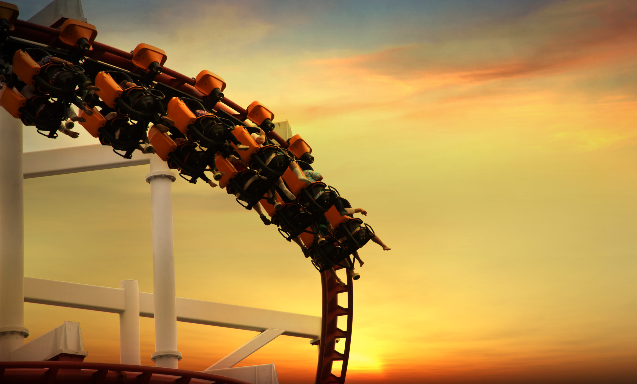 Riding the Roller-Coaster of Divorce